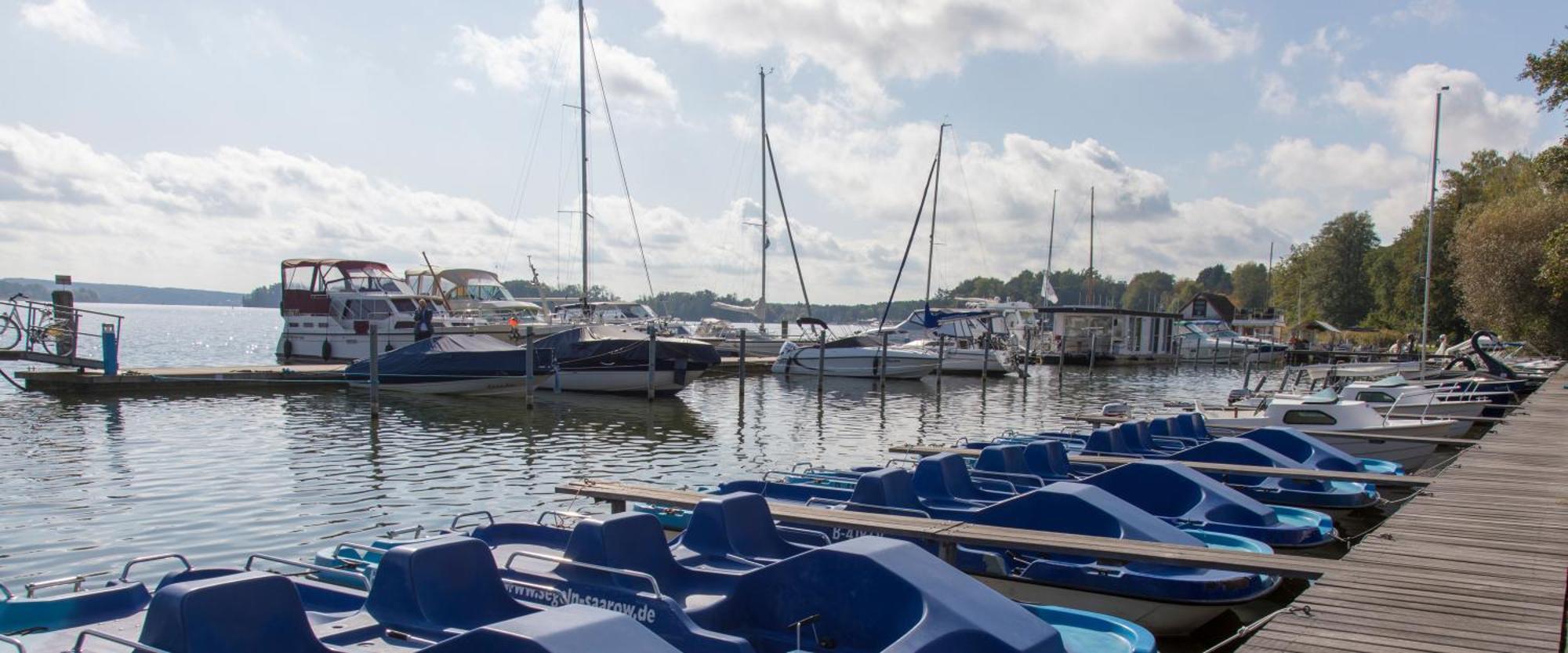 S2 Fewo In Bad Saarow, Seestr 2 Eksteriør billede